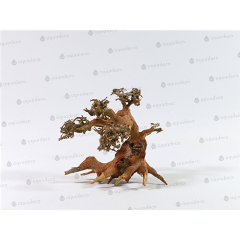 Lemn Aquadeco Aqua-Bonsai S 15-20 cm - imagine 3